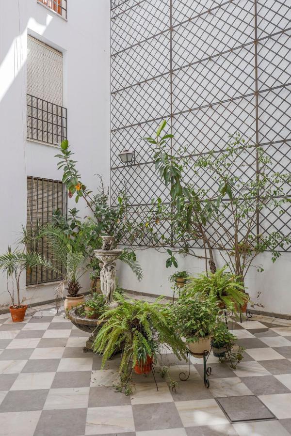 Fantastico Duplex 2 Terrazas 3 Habitaciones 2 Banos Sevilla Eksteriør billede